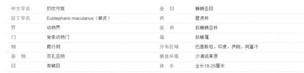 最适合学生和懒人党的萌宠 - 守宫 之饲养入门