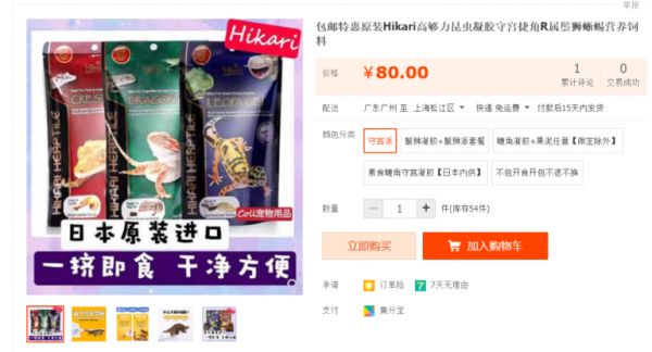 最适合学生和懒人党的萌宠 - 守宫 之饲养入门