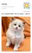 宠物领养宠物喂养信息