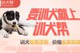 上海训犬学校哪家好-宠物训练去哪里-派多格寄训中心