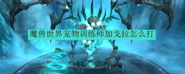 魔兽世界宠物训练师加戈拉怎么打