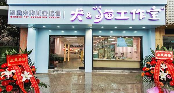 学校环境