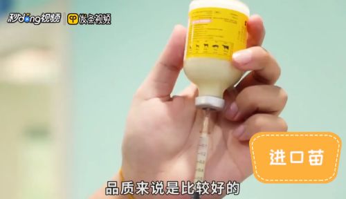 宠物狗疫苗怎么打