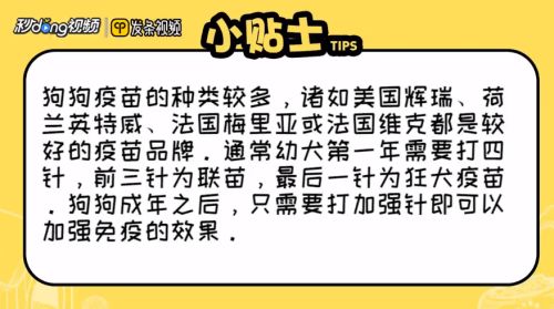 宠物狗疫苗怎么打