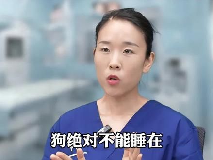 狗绝对不能睡在床上或沙发上 #养狗经验分享  #科学养宠攻略  #狗是人类最忠诚的朋友  #养狗人  #新手养狗