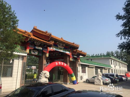 怎么考取宠物美容资格证