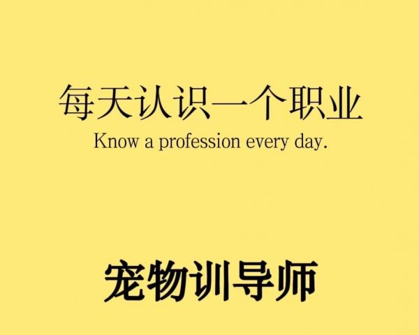每天认识一个专业：宠物训导师 以下内容包含三方面 1：专业是什么？ 2：要学什么？ 3：未来是干什么？