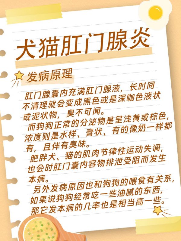 第32集：犬猫知识科普之肛门腺炎。#养猫小百科 #养狗经验分享 #养狗知识 #养猫好物