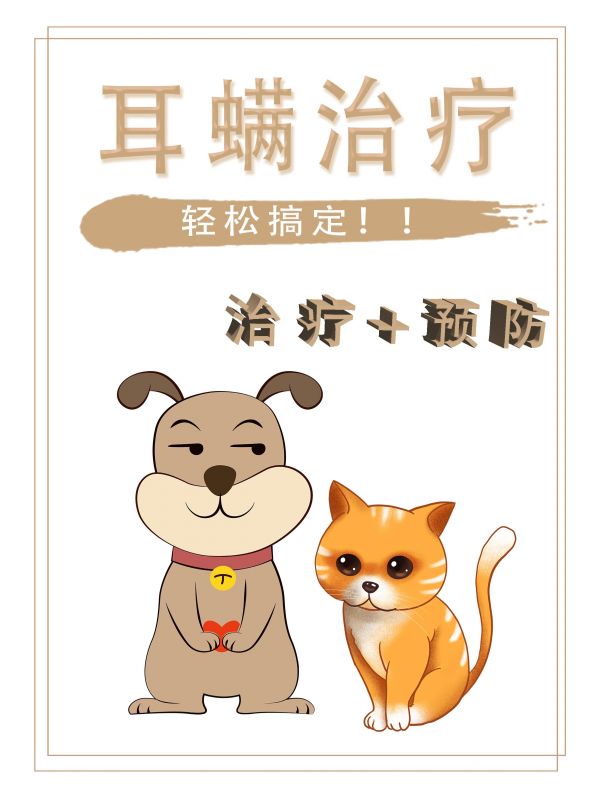 第33集：手把手教你搞定毛孩子的耳螨！！真的超简单 #科学养宠攻略 #养狗经验分享 #养猫新手 #耳螨 #耳螨用药和清洁流程