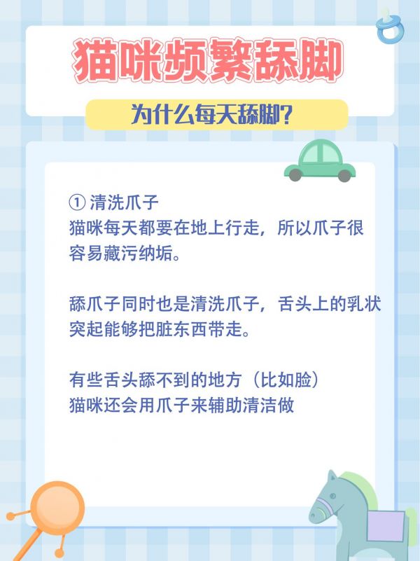 第36集：为什么猫咪总舔脚？这些情况要注意了#养猫新手 #科学养宠 #关注我每天坚持分享知识 #趾间炎
