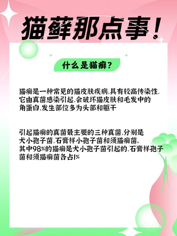 第38集：近日有很多朋友问我怎么判断猫咪是不是得了猫藓，很多人根本没办法分清楚猫藓和其他皮肤病，还有人还没确诊就给猫咪吃一些伤身的药物。特别是一些人用的药物导致猫咪肝肾衰竭，得不偿失！今天就给大家分享诊断猫藓的方法，赶紧早发现早治疗#猫癣 #猫癣怎么治 #猫癣预防 #猫癣喷雾 #猫癣用药推荐