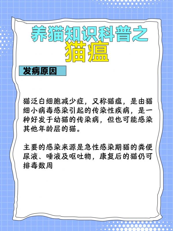 第39集：猫瘟真的必死吗?到底能不能治好？#经验分享 #猫瘟 #养猫必备 #养猫经验分享 #猫瘟治愈