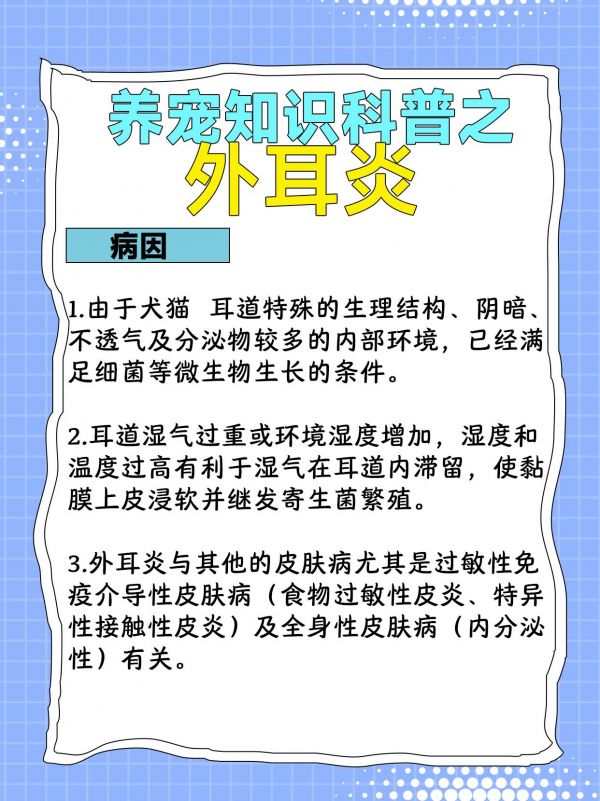 第41集：犬猫耳朵痒，耳朵脏可能还是外耳炎惹的祸！#猫咪外耳炎 #狗狗外耳炎 #养狗经验分享 #养猫好物