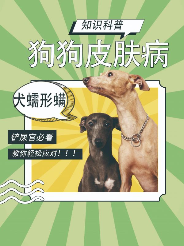 第42集：教你轻松应对！！狗狗皮肤病科普之犬蠕形螨##狗狗皮肤病##狗狗皮肤病用什么药##狗狗皮肤病螨虫##犬蠕形螨
