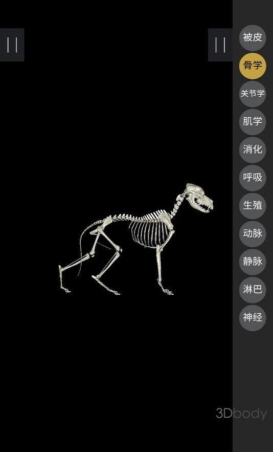 3dbody宠物解剖app免费版