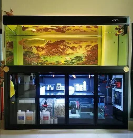 七种常见的鱼缸过滤方式,优缺点对比分析