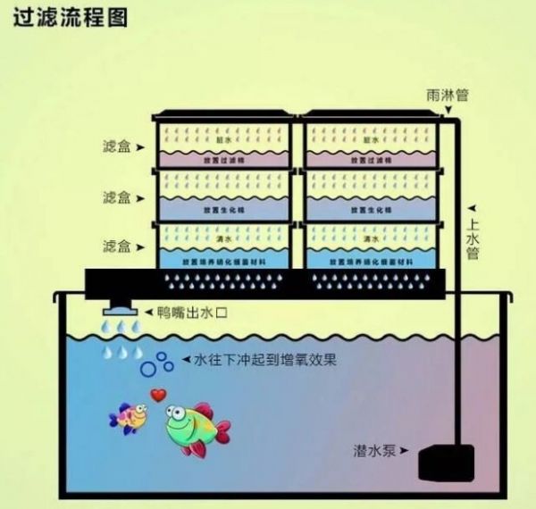 七种常见的鱼缸过滤方式,优缺点对比分析