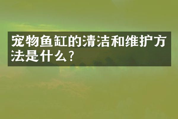 宠物鱼缸的清洁和维护方法是什么？