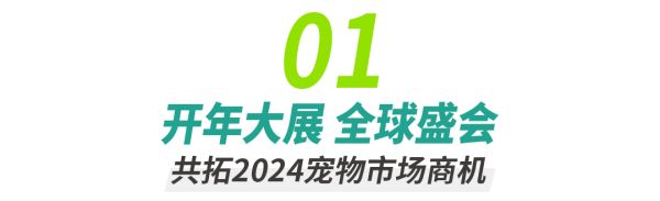 “码”上登记 | 2024第11届深宠展专业观众免费预登记火热进行中!
