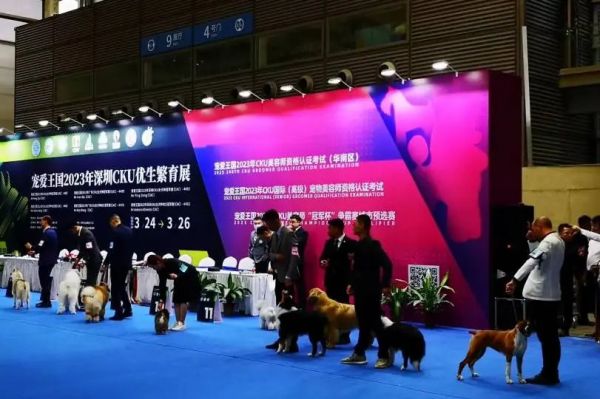 “码”上登记 | 2024第11届深宠展专业观众免费预登记火热进行中!