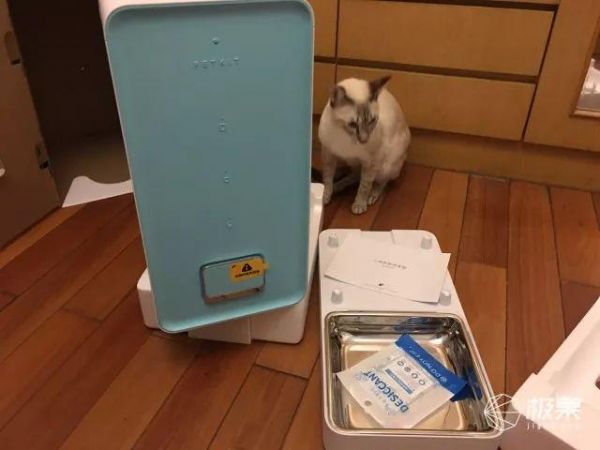 寄养宠物竟有这么大伤害？猫奴亲身经历：喂食器真心不能少 | 体验
