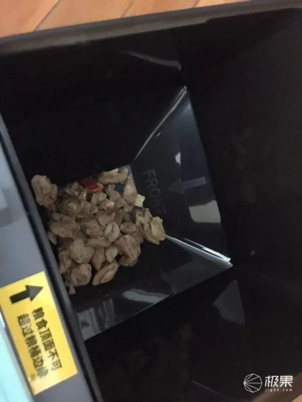 寄养宠物竟有这么大伤害？猫奴亲身经历：喂食器真心不能少 | 体验