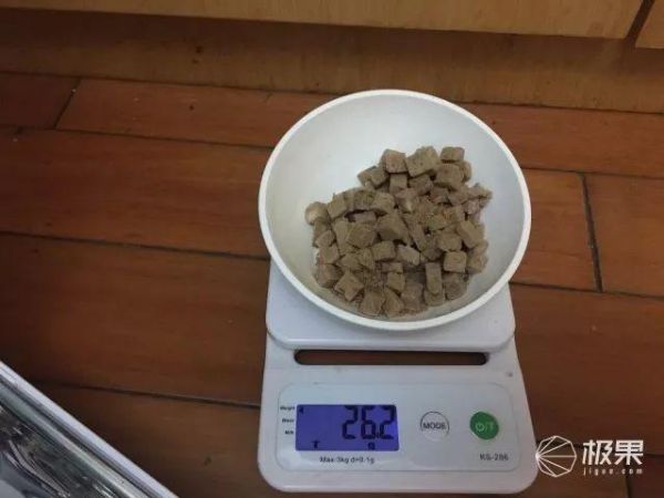 寄养宠物竟有这么大伤害？猫奴亲身经历：喂食器真心不能少 | 体验