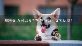 哪些地方可以发布宠物救助、寻宠信息？