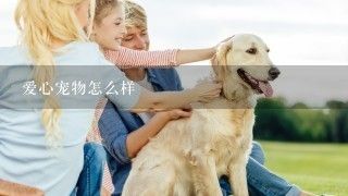 爱心宠物怎么样
