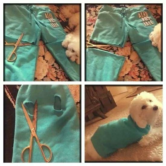 8款狗狗衣服大改造,非常有爱,没想到旧衣服能这么改!附教程