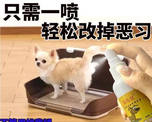 解决猫咪尿液问题（宠物家庭必备处理方法）