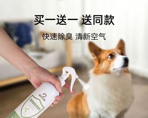 解决猫咪尿液问题（宠物家庭必备处理方法）