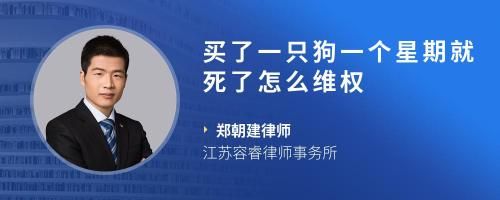 买了一只狗一个星期就死了怎么维权