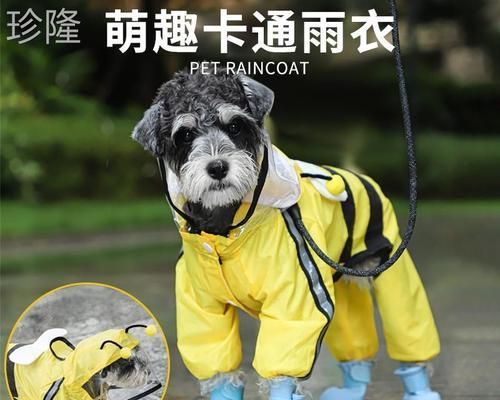 狗狗中毒了怎么办（宠物主人必知的中毒症状及应对方法）