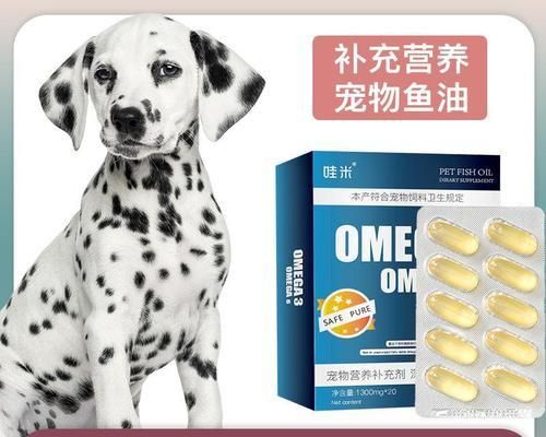 狗狗中毒了怎么办（宠物主人必知的中毒症状及应对方法）