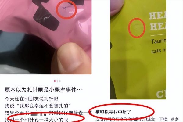 猫中毒了会有什么症状？预防与紧急处理方法