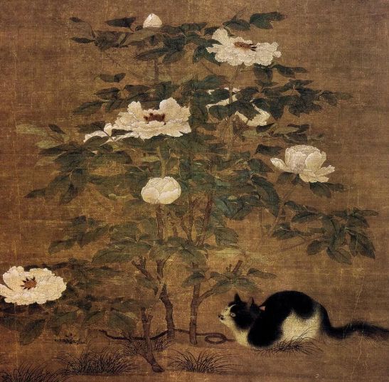 猫的历史:从魔鬼走向宠物C位