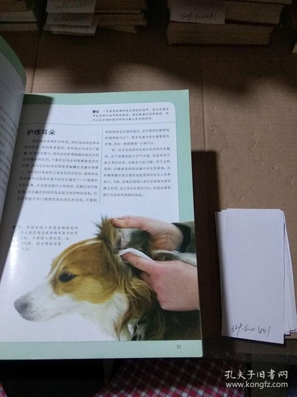 宠物犬家庭护理美容通用手册。
