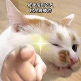豆友（已黑化）