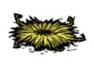 Tallbird Nest.png