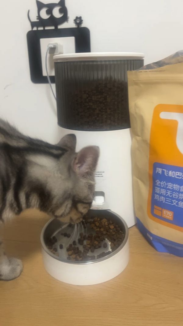 买猪肉哪里最正宗_土猪肉与普通猪肉的区别_哪里能买到放心肉_肉类营养价值排行_猪肉最新价格表_猪肉美食菜谱_增肥食谱_吃什么容易长胖_优质猪肉品牌推荐