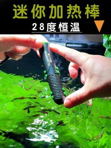 鱼缸专用加热棒_恒温加热棒_迷你加热棒_低水位加热棒_宠物鱼加热设备_节能水族箱加热器_高灵敏度温控开关_安全防爆设计_静音运行不打扰_水质稳定器。