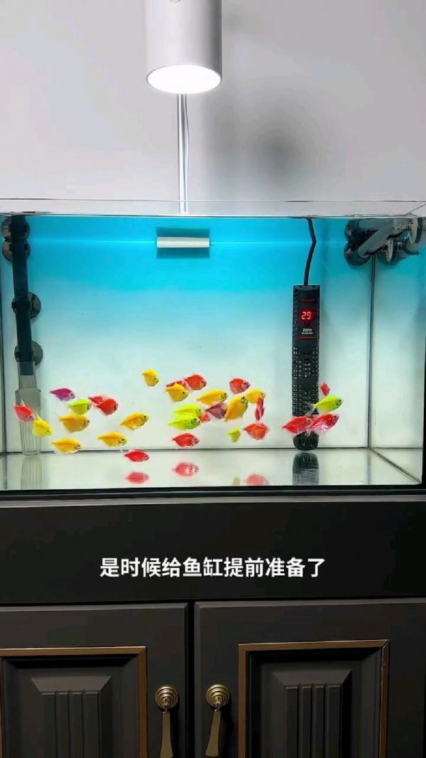 加热棒品牌排行_加热棒厂家直销_鱼缸加热棒怎么用_恒温加热棒价格_加热棒使用方法_加热棒哪种好用_加热棒哪个牌子安全_智能加热棒_加热棒工作原理_加热棒坏了怎么修
