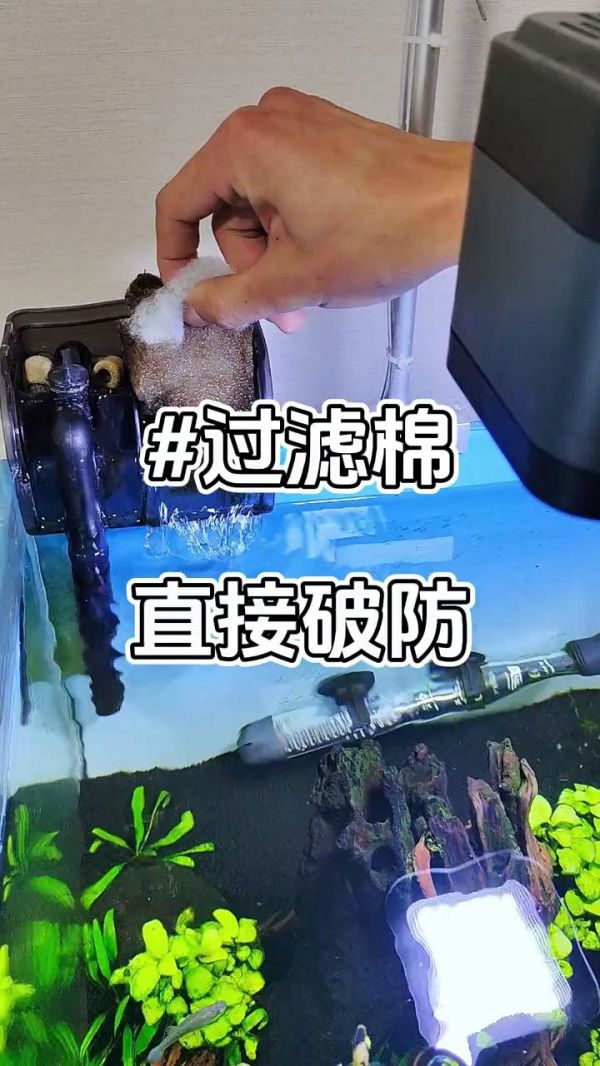 鱼缸过滤棉品牌_鱼缸过滤棉哪种好_鱼缸过滤棉多久换一次_鱼缸过滤棉价格_鱼缸过滤棉推荐_鱼缸过滤棉清洗方法_鱼缸过滤棉的作用_鱼缸过滤棉哪种材质好_鱼缸过滤棉生产厂家_鱼缸过滤棉批发