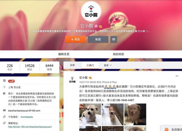 领养代替购买｜上海地区宠物救助中心，这些小生命正在等你！