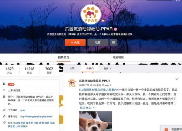 领养代替购买｜上海地区宠物救助中心，这些小生命正在等你！