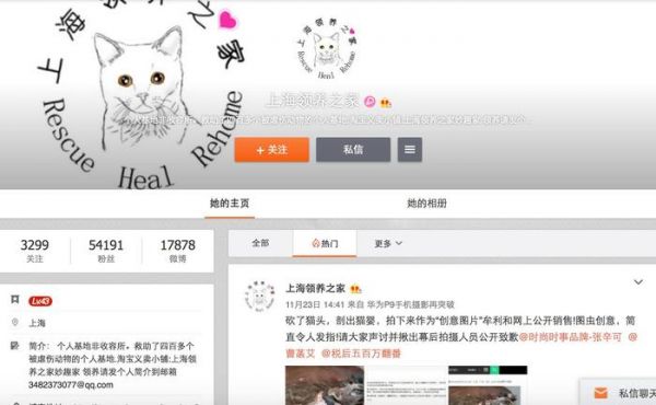 领养代替购买｜上海地区宠物救助中心，这些小生命正在等你！