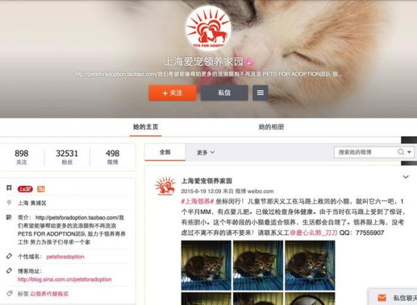 领养代替购买｜上海地区宠物救助中心，这些小生命正在等你！