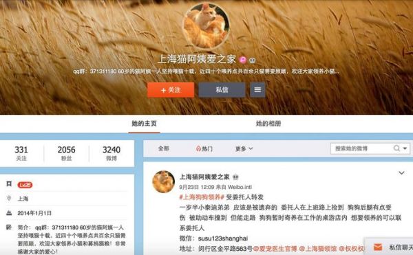 领养代替购买｜上海地区宠物救助中心，这些小生命正在等你！