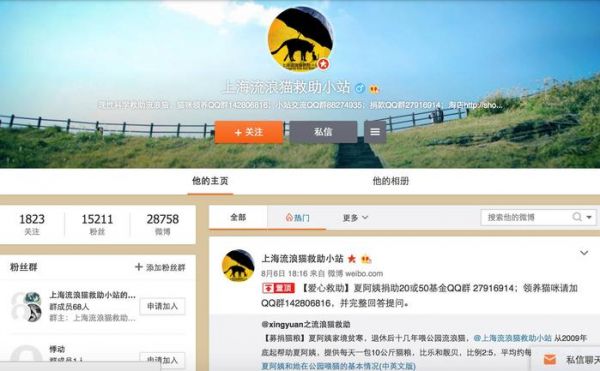 领养代替购买｜上海地区宠物救助中心，这些小生命正在等你！